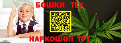 мдпв Вышний Волочёк