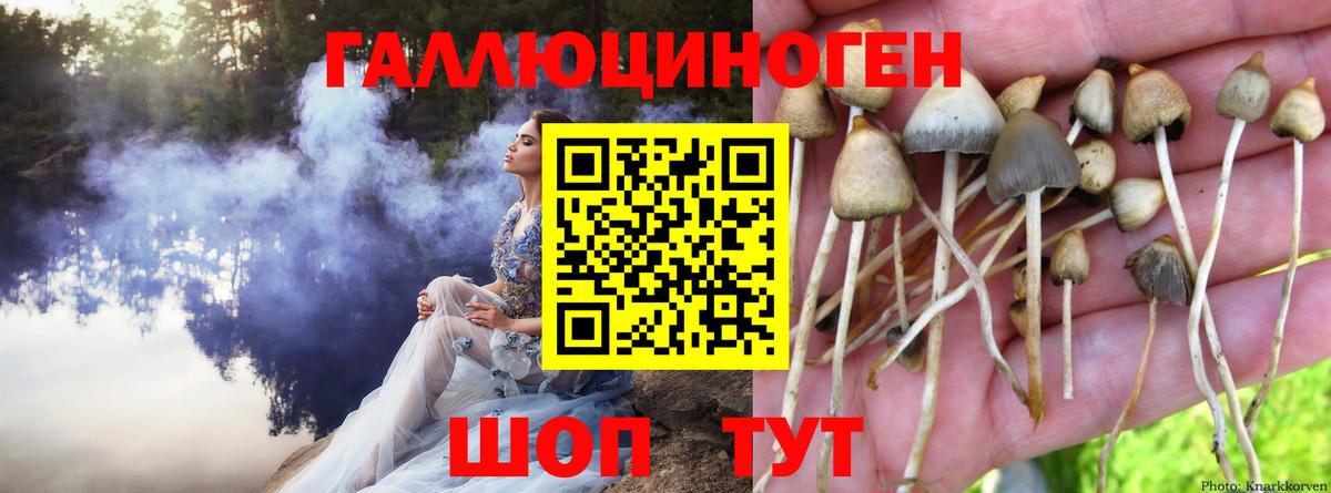 Галлюциногенные грибы GOLDEN TEACHER  Вход с VPN  Галлюциногенные грибы мицелий  Сатка 
